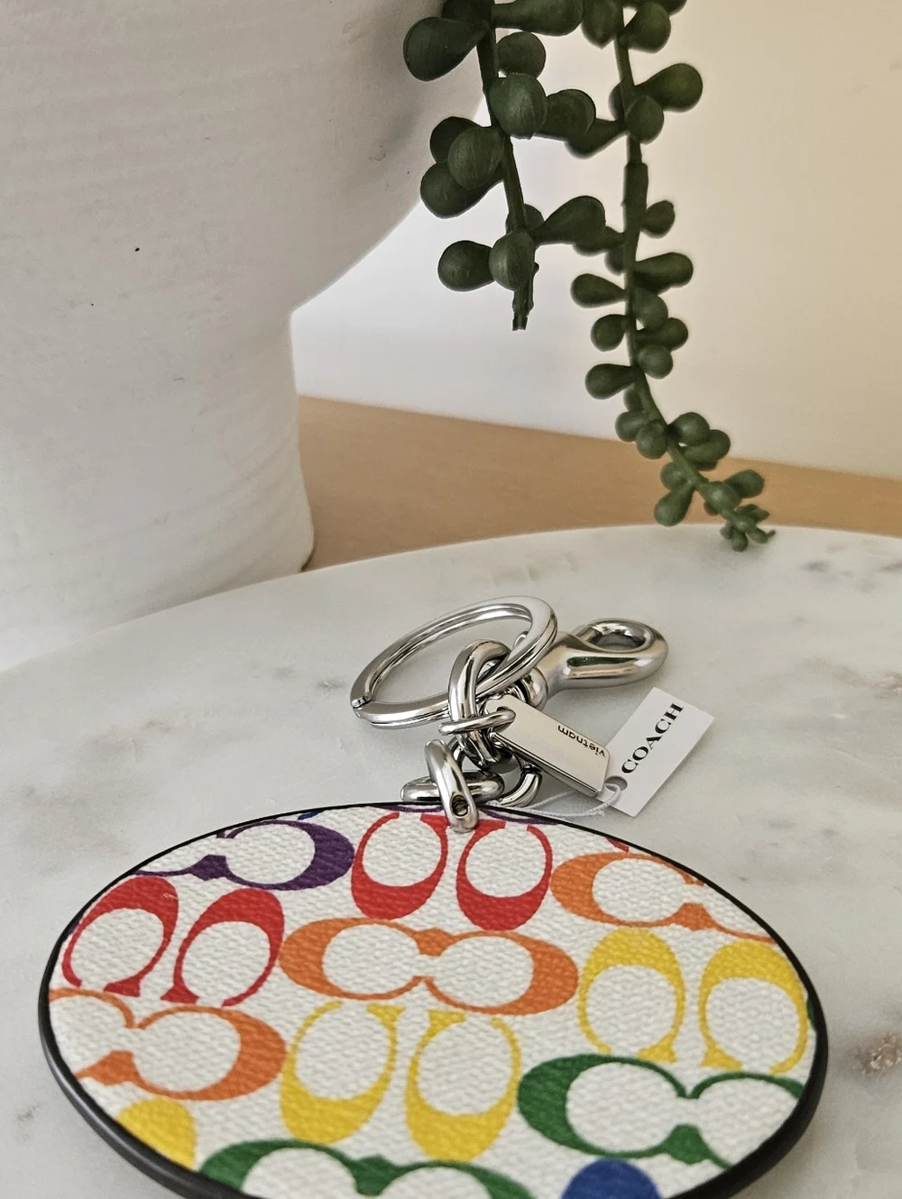 COACH Skate Not Hate Rainbow Wing Keychain ๐ - Picture 2 of 8